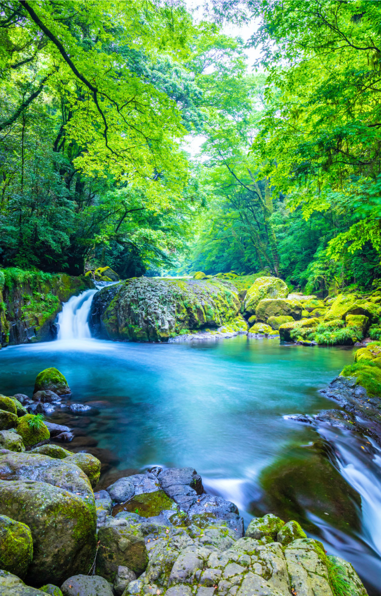 日本の河原