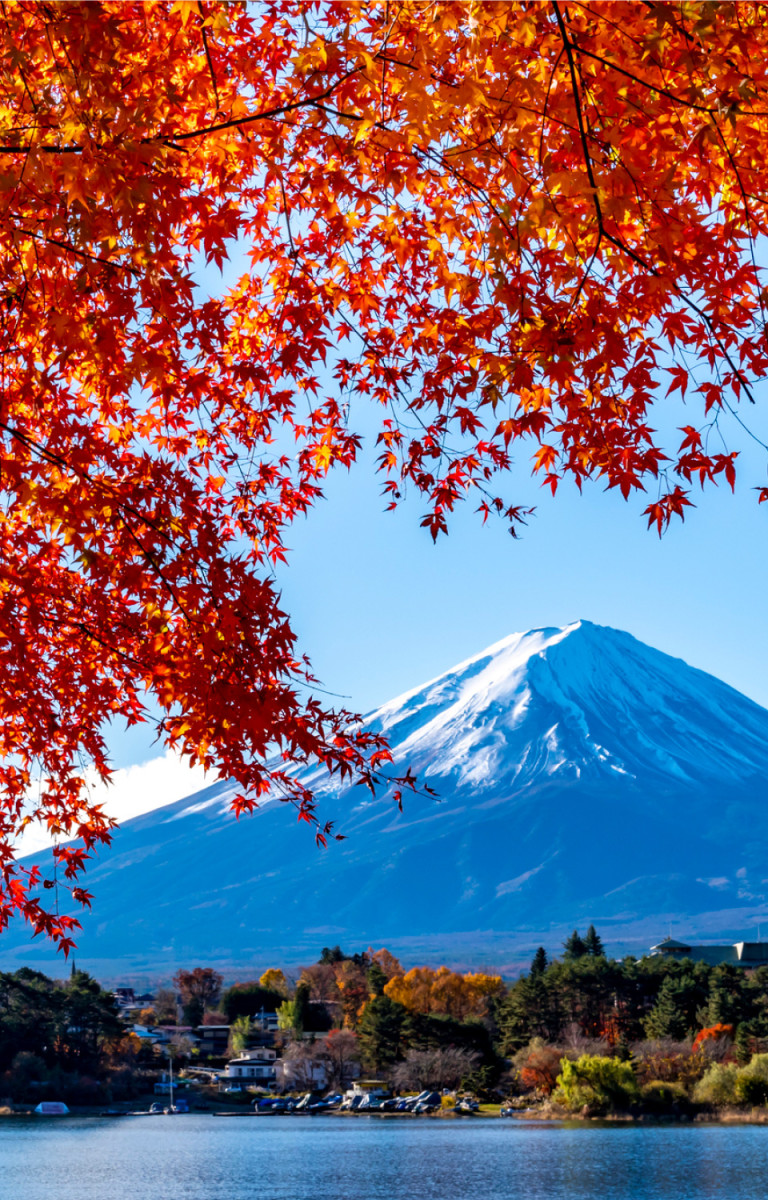 富士山と紅葉